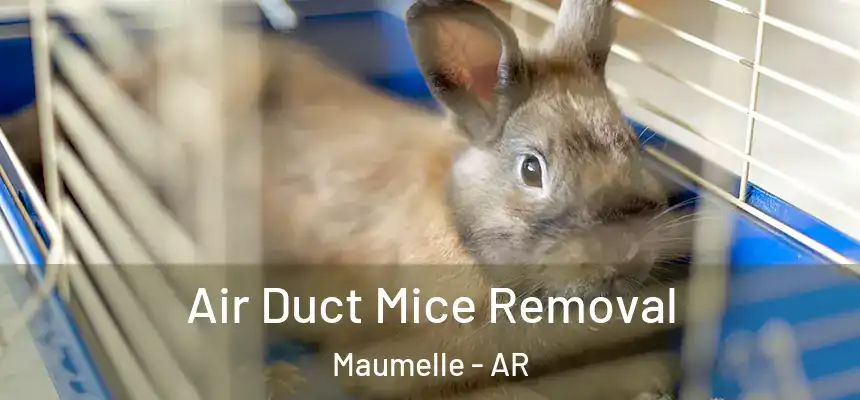 Air Duct Mice Removal Maumelle - AR