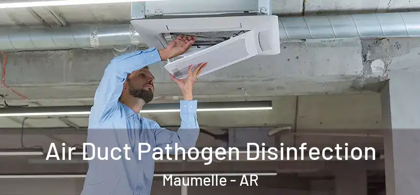  Air Duct Pathogen Disinfection Maumelle - AR