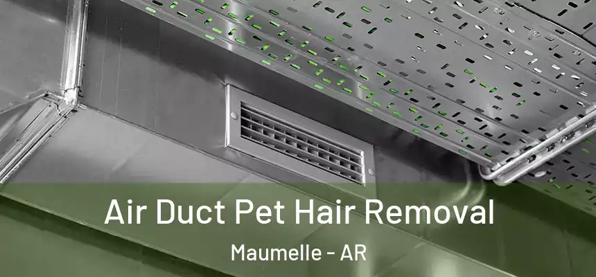  Air Duct Pet Hair Removal Maumelle - AR