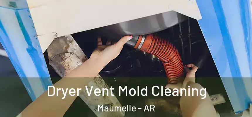  Dryer Vent Mold Cleaning Maumelle - AR