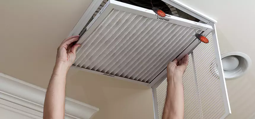 Preventive Cockroach-Proofing for Ducts in Maumelle