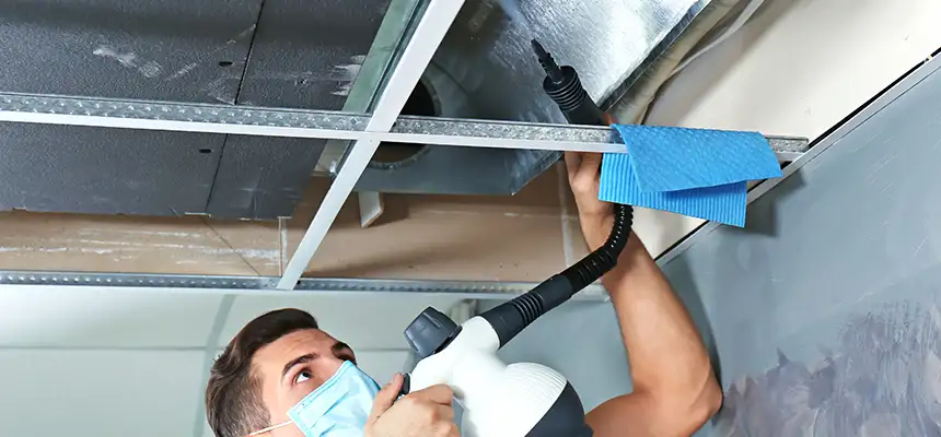 Our Air Duct Rodent Removal Services in Maumelle, AR