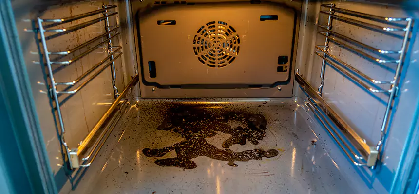 Our Dryer Vent Mold Cleaning Services in Maumelle, AR