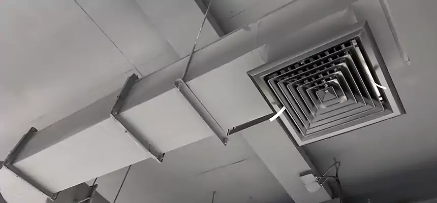 Our Pest Removal From Ducts Services in Maumelle, AR