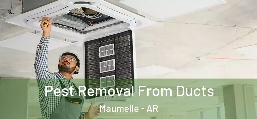 Pest Removal From Ducts Maumelle - AR