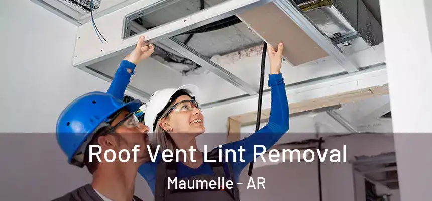  Roof Vent Lint Removal Maumelle - AR