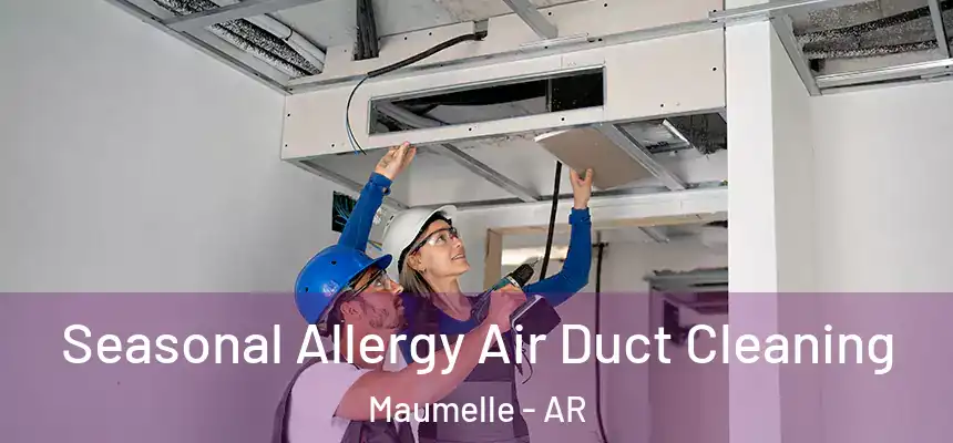  Seasonal Allergy Air Duct Cleaning Maumelle - AR