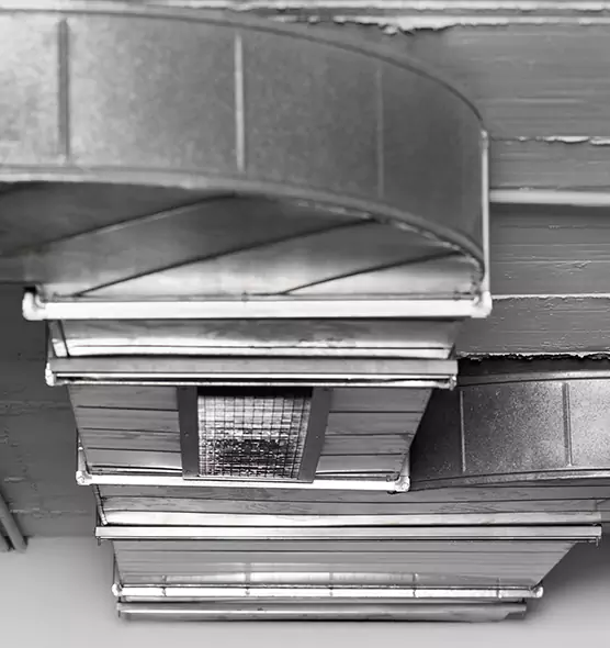 Professional Air Duct Pest Removal in Maumelle, AR