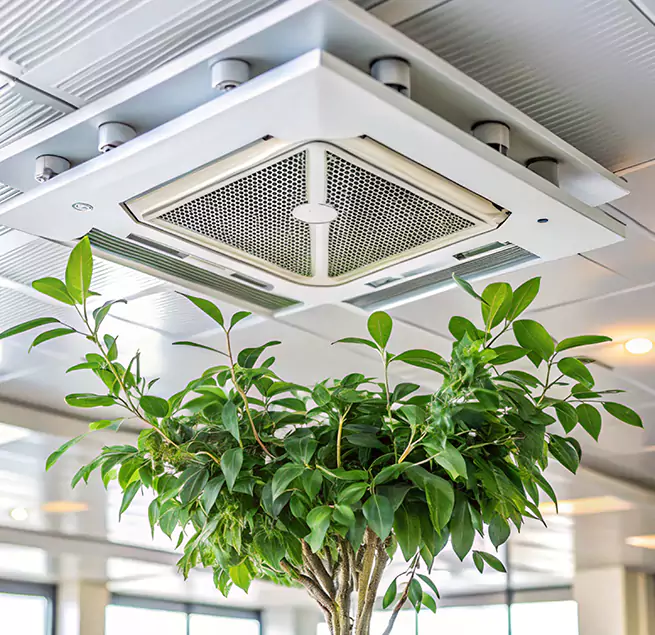 Why Homeowners & Businesses Trust Us in Maumelle, AR