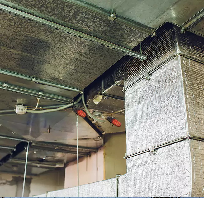 Why Homeowners & Businesses Trust Us Maumelle, AR?