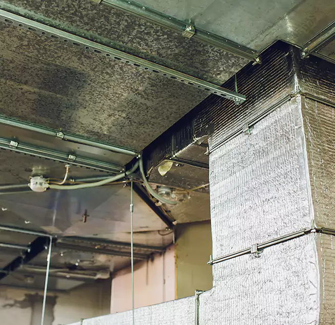 Why Homeowners & Businesses Trust Us in Maumelle, AR?