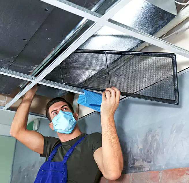 Why Homeowners Businesses Trust Us in Maumelle, AR